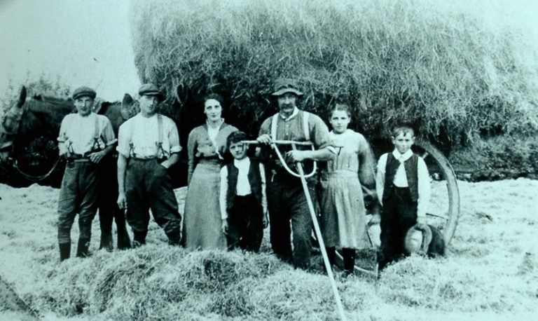 Farming Hay Raking Family
