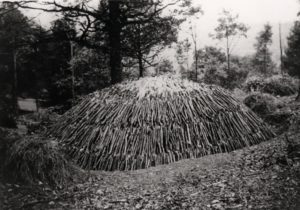 Charcoal Burning 2
