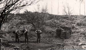 Charcoal Burning 6