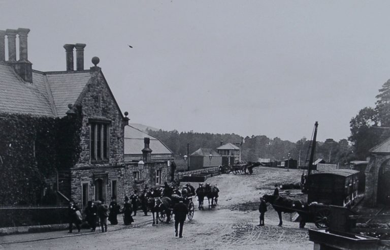 Horses And Carts In Street1