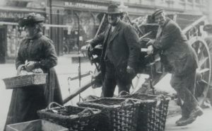 Market Cart Sellers