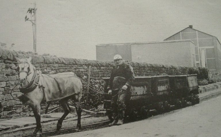 Mining Horse And Wagons Electric Lamps 1940