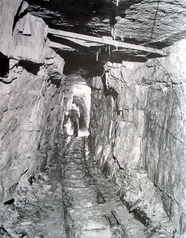 Mining Tunnel 02