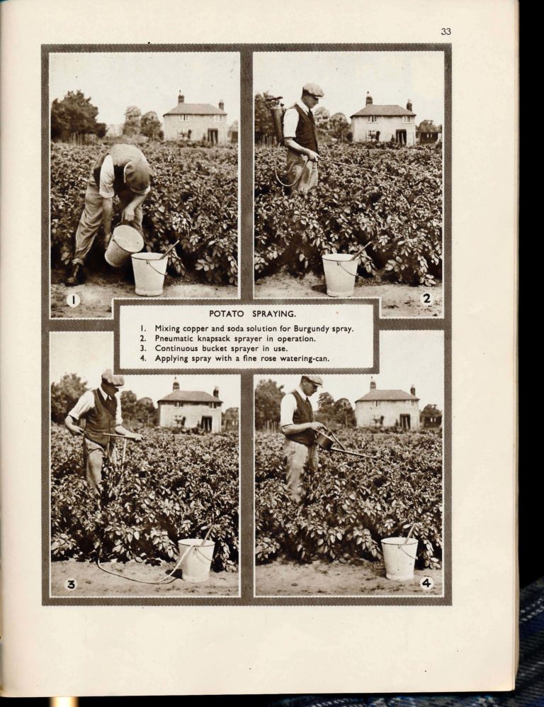 The Vegetable Garden Displayed RHS 1942 Page 40