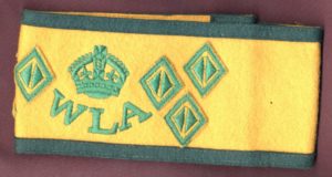 Women Land Army Armband 1