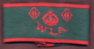 Women Land Army Armband 3