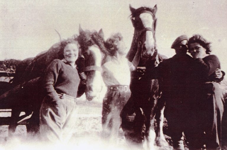 Women Land Army With Horses