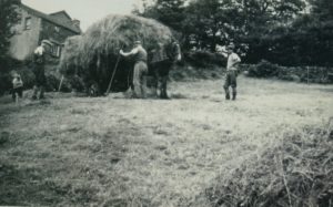 Hay Cart